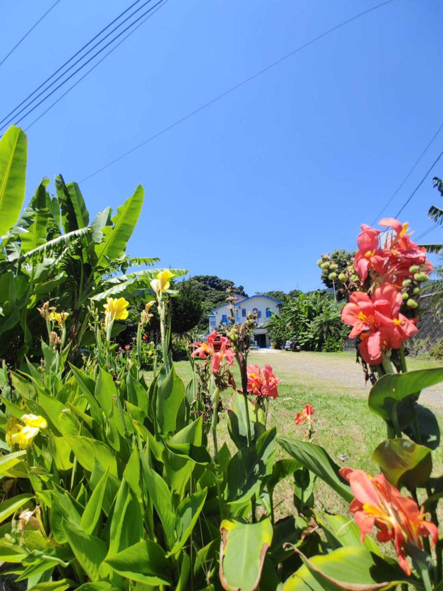 Guest House Churaumi Shimoda  Exterior foto
